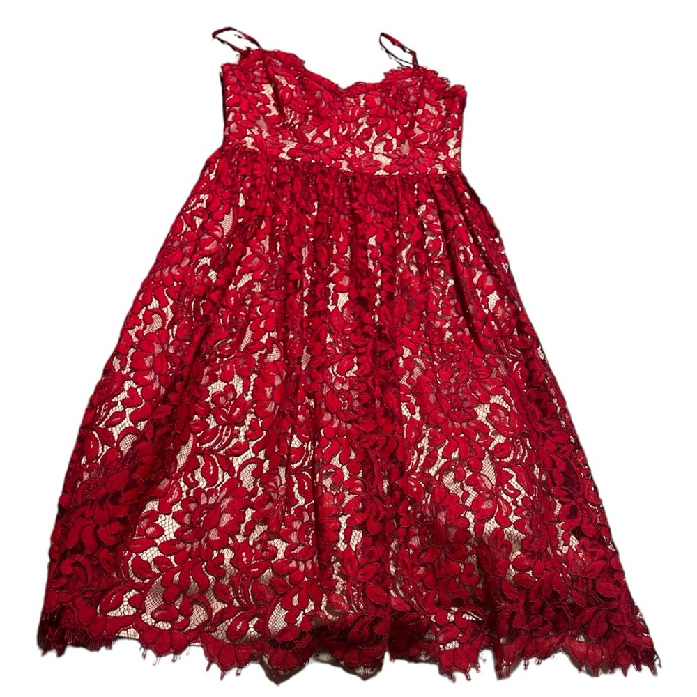 Eliza J Red lace fit and flare dress